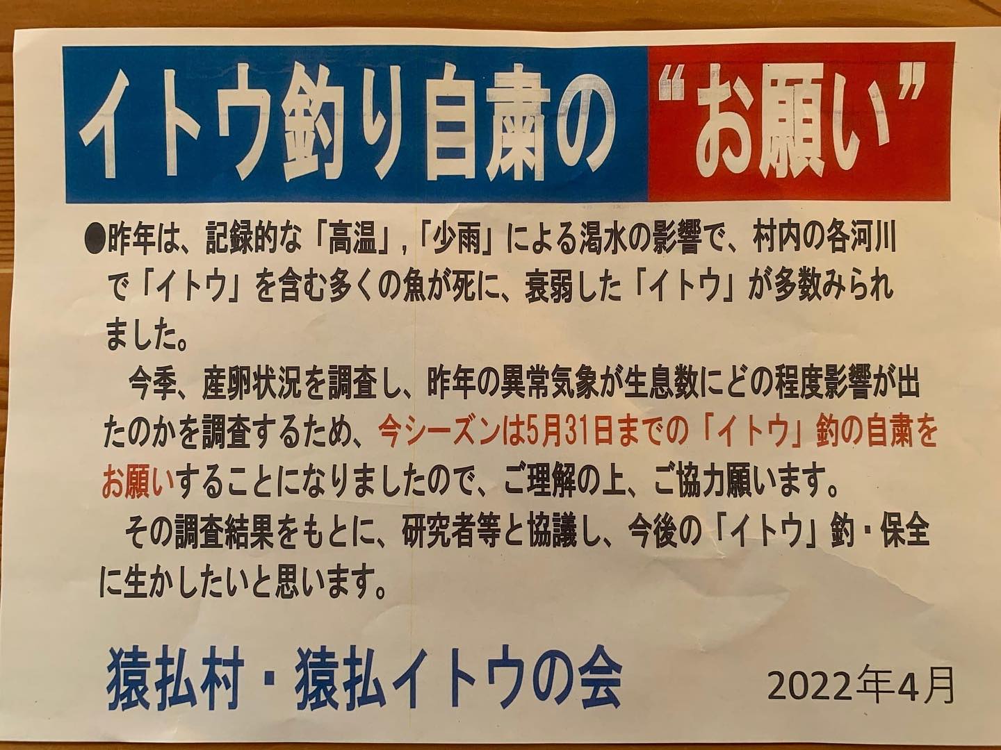 【猿払村イトウ釣り　 