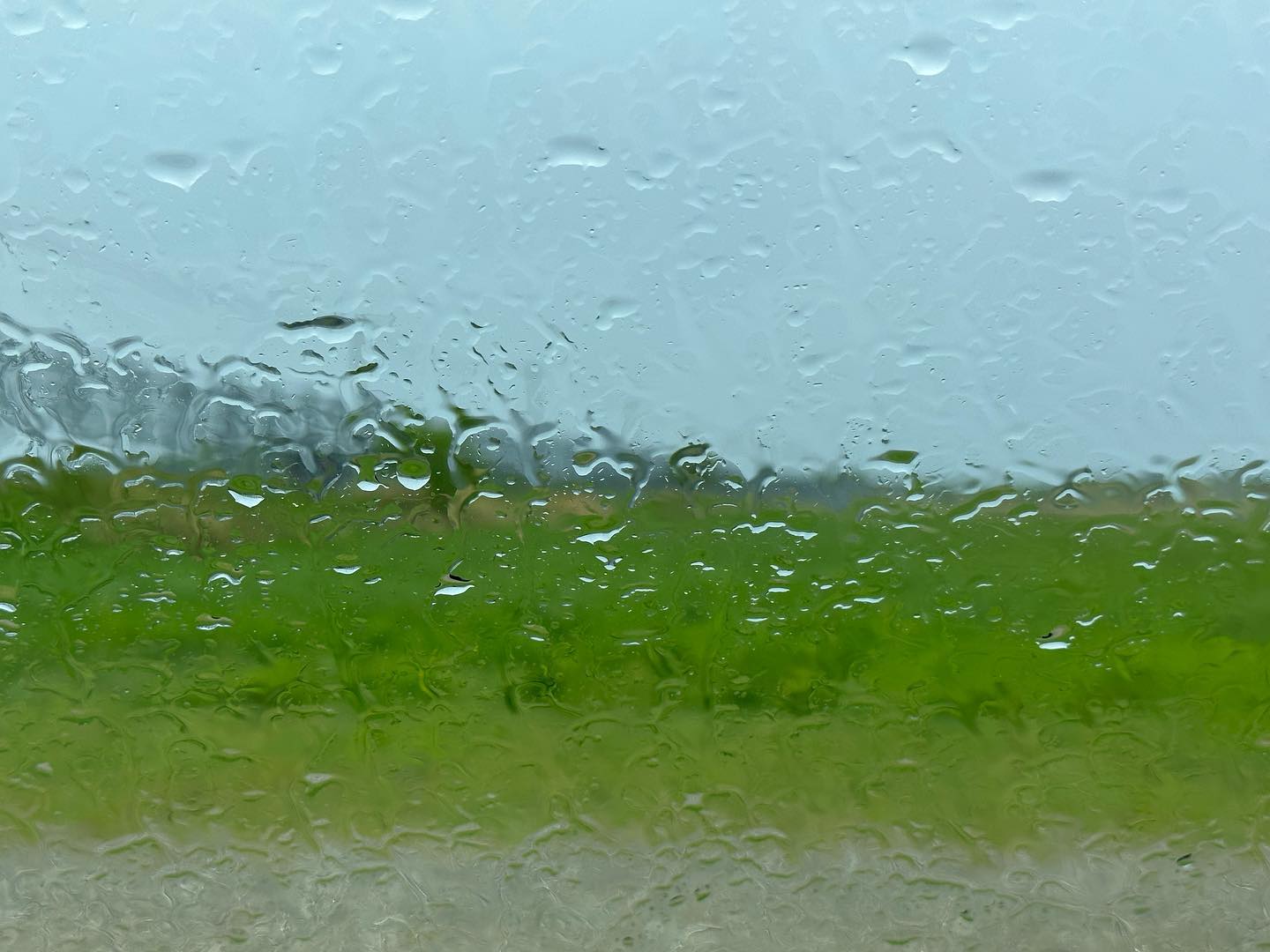【雨】 